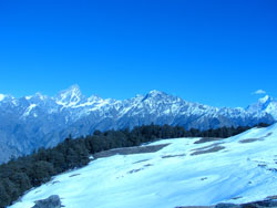 Auli tour